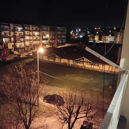 Daire Njegoseva